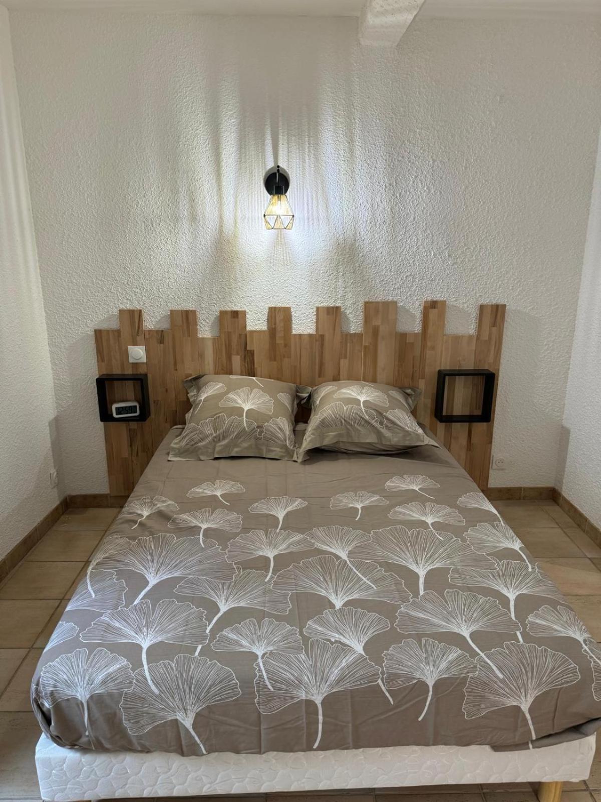 Charmant Appartement En Hypercentre De Castelnaudary Ngoại thất bức ảnh